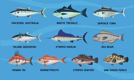 Sistema del vector del diseño de la historieta de los pescados de mar stock de ilustración Sistema del vector del diseño de la historieta de los pescados de mar stock de ilustración