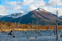 Sjö Escondido, Isla Grande de Tierra del Fuego, Argentina arkivbild Sjö Escondido, Isla Grande de Tierra del Fuego, Argentina arkivbild