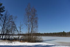 Sjön i Karelia täckte med snö och is Arkivbilder Sjön i Karelia täckte med snö och is Arkivbilder