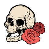 Skalle med två rosor också vektor för coreldrawillustration stock illustrationer Skalle med två rosor också vektor för coreldrawillustration stock illustrationer