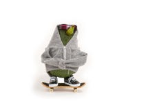 Skateboarding dell'avocado immagine stock libera da diritti Skateboarding dell'avocado immagine stock libera da diritti