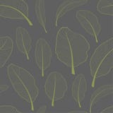 Skeleton banana leaves seamless textile pattern. Transparent light green leaves isolated on grey background. Vector vector illustration Skeleton banana leaves seamless textile pattern. Transparent light green leaves isolated on grey background. Vector vector illustration