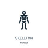 skeleton icon vector from anatomy collection. Thin line skeleton outline icon vector illustration. Linear symbol for use on web royalty free illustration skeleton icon vector from anatomy collection. Thin line skeleton outline icon vector illustration. Linear symbol for use on web royalty free illustration