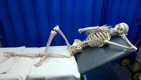 Image result for skeleton waiting on doctor clipart