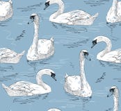 Swan Sketch Stock Illustrations – 1,331 Swan Sketch Stock Illustrations