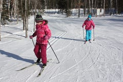Ski?en van het jonge geitjes het Dwarsland stock fotografie Ski?en van het jonge geitjes het Dwarsland stock fotografie
