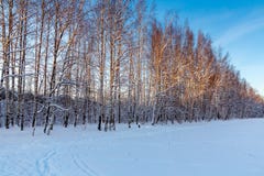 Ski track and footpath on the outskirts of the city stock photos Ski track and footpath on the outskirts of the city stock photos