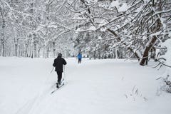 The skiers in the Park. stock photos The skiers in the Park. stock photos