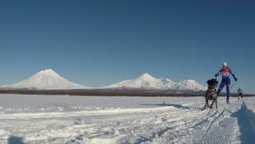 Skijoring στο υπόβαθρο Kamchatka των ηφαιστείων Skijoring στο υπόβαθρο Kamchatka των ηφαιστείων