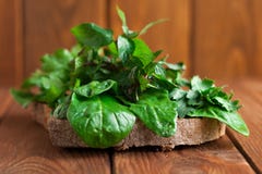 skjuta in vegetarian Smörgås med gräsplaner för råkost royaltyfri bild skjuta in vegetarian Smörgås med gräsplaner för råkost royaltyfri bild