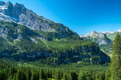 Skog på ett berg arkivbild Skog på ett berg arkivbild