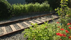 Skott för docka för järnvägsspårgemenskapträdgård stock video Skott för docka för järnvägsspårgemenskapträdgård stock video