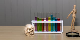 Skull bone ,color of test tube,human wood model and magnifying royalty free stock photos Skull bone ,color of test tube,human wood model and magnifying royalty free stock photos