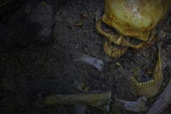 Skull and bones digged out from pit in the scary graveyard. Do n royalty free stock image Skull and bones digged out from pit in the scary graveyard. Do n royalty free stock image