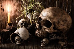 Skull and lighting candle. Still life photography : many skull and lighting candle on old wood Royalty Free Stock Images Skull and lighting candle. Still life photography : many skull and lighting candle on old wood Royalty Free Stock Images