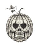Skull Pumpkin Halloween. Stock Images