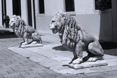 Skulptur des Löwes im italienischen Garten stockfoto Skulptur des Löwes im italienischen Garten stockfoto