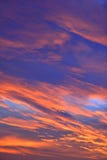 The sky with clouds beatiful sunrise background Royalty Free Stock Photos The sky with clouds beatiful sunrise background Royalty Free Stock Photos