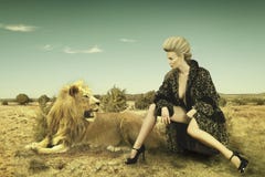 skönhetlion royaltyfri fotografi skönhetlion royaltyfri fotografi