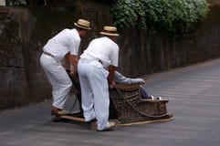 Sledge riding in funchal
