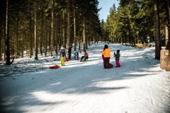 Sleighing die rodelnde Steigung an einem sonnigen Wintertag Lizenzfreies Stockbild Sleighing die rodelnde Steigung an einem sonnigen Wintertag Lizenzfreies Stockbild