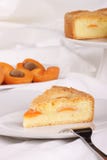 Slice Of Apricot Tart Royalty Free Stock Image Slice Of Apricot Tart Royalty Free Stock Image
