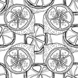 Slices Of Lemons. Seamless Pattern With Hand Drawn Fruits. Black And White Illustration For Coloring Book. Royalty Free Stock Photos