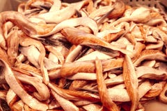 Slices of salmon. Fresh Slices of salmon, trout, on the market on ice. Royalty Free Stock Photo Slices of salmon. Fresh Slices of salmon, trout, on the market on ice. Royalty Free Stock Photo