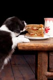 Slim grappig puppy royalty-vrije stock foto Slim grappig puppy royalty-vrije stock foto