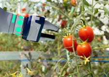 Slimme robotachtig in landbouw futuristisch concept, de automatisering van robotlandbouwers moet worden geprogrammeerd om in vert stock foto Slimme robotachtig in landbouw futuristisch concept, de automatisering van robotlandbouwers moet worden geprogrammeerd om in vert stock foto