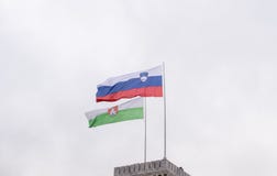 Slovenian Flag with white background stock photos Slovenian Flag with white background stock photos