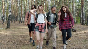 Slow motion of happy youth friends walking in forest with dog chatting enjoying nature and friendship