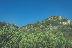 Slowakische Karpatenberge im Herbst grüne Hügel mit Oberteilen Lizenzfreie Stockfotos Slowakische Karpatenberge im Herbst grüne Hügel mit Oberteilen Lizenzfreie Stockfotos