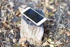 Sluit beeld van lichte mobiele telefoon met het zwarte scherm omhoog verlaten op de bosstomp, de achtergrond van de aardherfst Co stock fotografie Sluit beeld van lichte mobiele telefoon met het zwarte scherm omhoog verlaten op de bosstomp, de achtergrond van de aardherfst Co stock fotografie