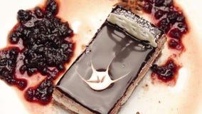 Sluit omhoog van een chocoladecake op witte plaat stock video Sluit omhoog van een chocoladecake op witte plaat stock video