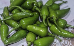 Sluit omhoog van Groene Jalapenos stock afbeeldingen Sluit omhoog van Groene Jalapenos stock afbeeldingen