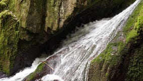 Sluit omhoog van het wilde zwarte bos van de waterdaling royalty-vrije stock foto Sluit omhoog van het wilde zwarte bos van de waterdaling royalty-vrije stock foto