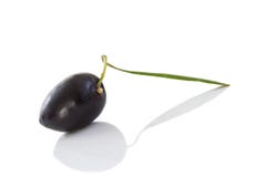 Sluit omhoog zwarte olijf met zijn blad en schaduw op witte backgeound stock foto Sluit omhoog zwarte olijf met zijn blad en schaduw op witte backgeound stock foto
