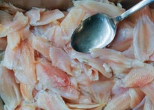 Sluit van verse gesneden vissenachtergrond, voor Koreaanse Barbecuegrill, omhoog yakiniku of sukiyaki stock foto's Sluit van verse gesneden vissenachtergrond, voor Koreaanse Barbecuegrill, omhoog yakiniku of sukiyaki stock foto's