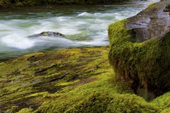 Slutet av Salmon River flyga iväg upp mossigt vaggar arkivfoto Slutet av Salmon River flyga iväg upp mossigt vaggar arkivfoto
