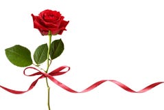 Smal red silk ribbon bow and red rose flower Stock Photo Smal red silk ribbon bow and red rose flower Stock Photo