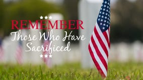 Small American flag at National cemetary - Memorial Day display -