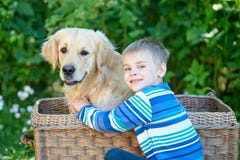 Small boy and cute dog in basket royalty free stock image Small boy and cute dog in basket royalty free stock image