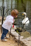 Small boy met the swan Stock Image Small boy met the swan Stock Image