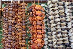Small crab grilled and shells skewer with bamboo on a banana leaf, Arranged in a row royalty free stock photos Small crab grilled and shells skewer with bamboo on a banana leaf, Arranged in a row royalty free stock photos