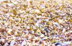 Small crack shells and flare of sunset royalty free stock images Small crack shells and flare of sunset royalty free stock images