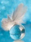 A small fluffy soft feather on a glass ball that reflects bokeh on a blue background stock photos A small fluffy soft feather on a glass ball that reflects bokeh on a blue background stock photos