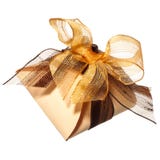 Small Gift Box Stock Photography