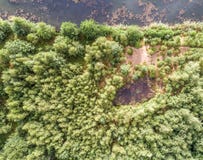 Small pond in the wood. Aerial photo with the drone. Shore with green trees Royalty Free Stock Photos Small pond in the wood. Aerial photo with the drone. Shore with green trees Royalty Free Stock Photos