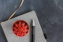 Succulent with red needles, grey notebook and pan on chalkboard background with copy space stock photos Succulent with red needles, grey notebook and pan on chalkboard background with copy space stock photos